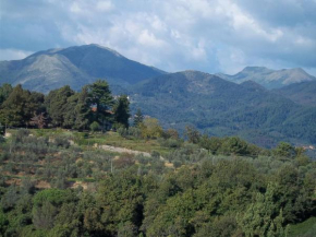 Caddelovi
